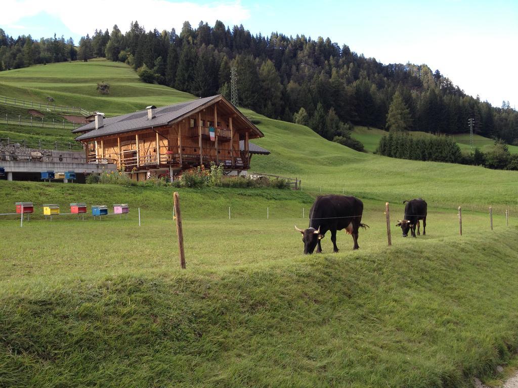 Вилла Agritur Ciasa Do Pare Сорага Экстерьер фото