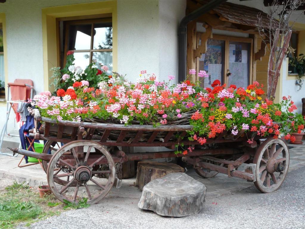 Вилла Agritur Ciasa Do Pare Сорага Экстерьер фото